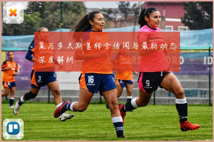 莱万多夫斯基转会传闻与最新动态深度解析